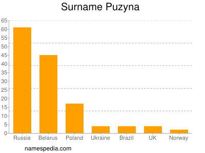 Surname Puzyna