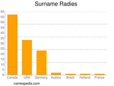 Surname Radies