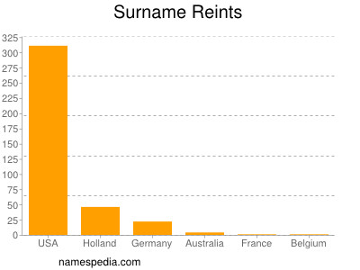 Surname Reints