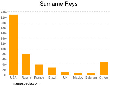 Surname Reys
