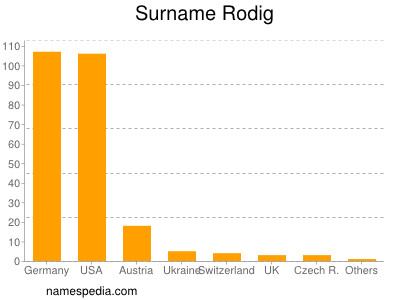 Surname Rodig