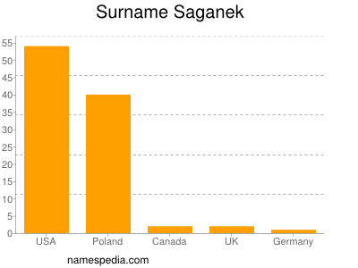 Surname Saganek