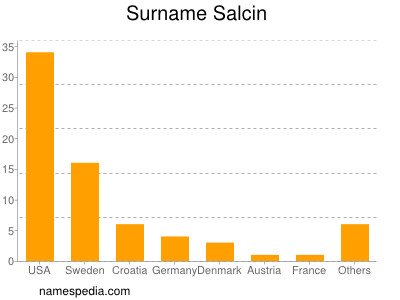 Surname Salcin