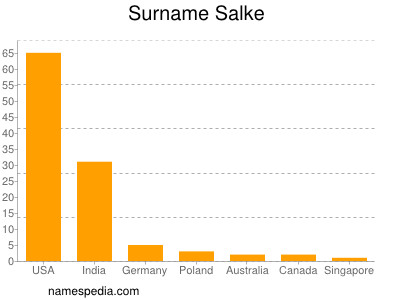 Surname Salke