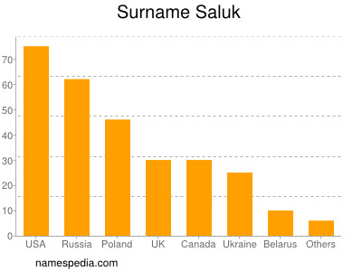 Surname Saluk