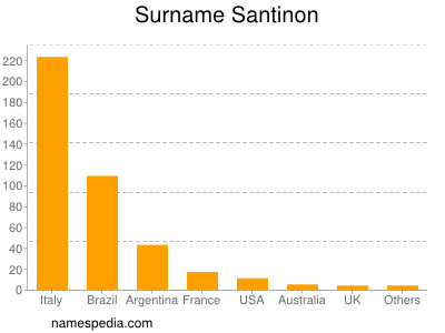 Surname Santinon