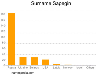 Surname Sapegin