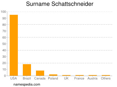 Surname Schattschneider