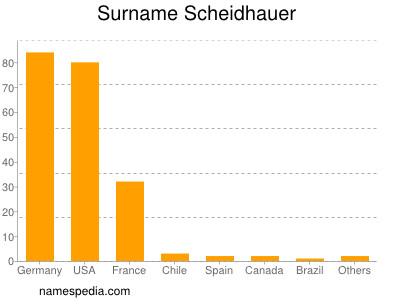 Surname Scheidhauer