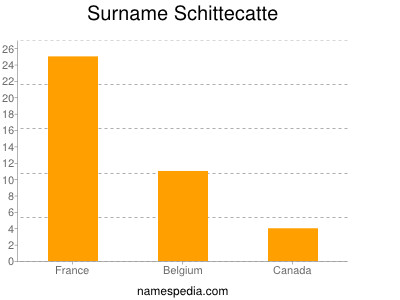 Surname Schittecatte