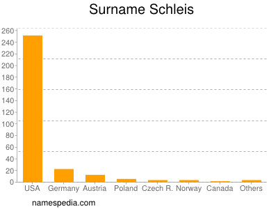 Surname Schleis