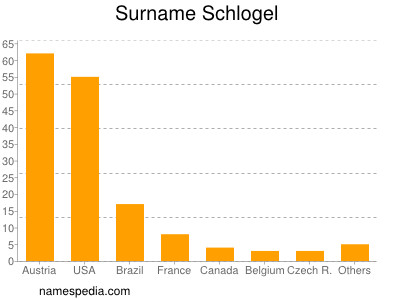 Surname Schlogel