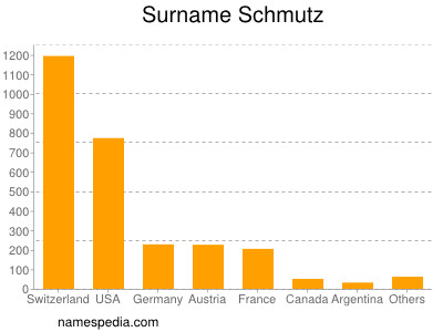Surname Schmutz