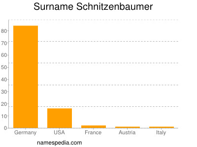 Surname Schnitzenbaumer