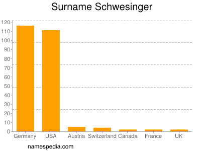 Surname Schwesinger