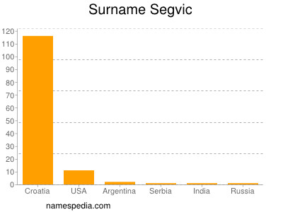 Surname Segvic