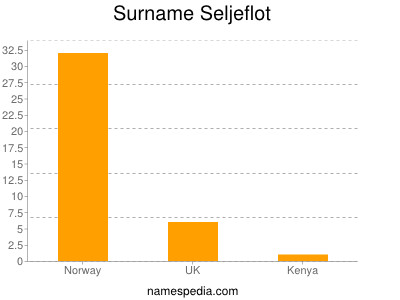 Surname Seljeflot