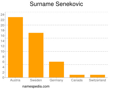 Surname Senekovic
