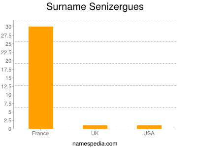 Surname Senizergues