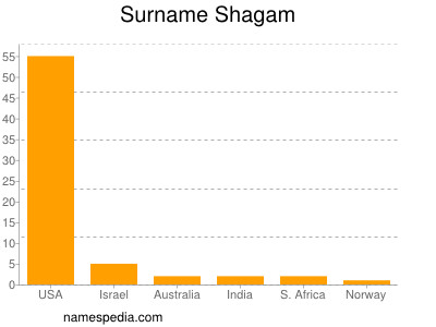 Surname Shagam