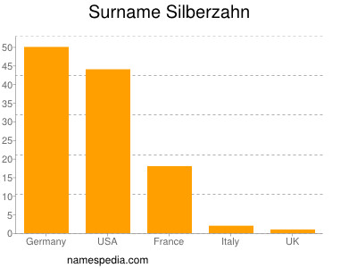 Surname Silberzahn