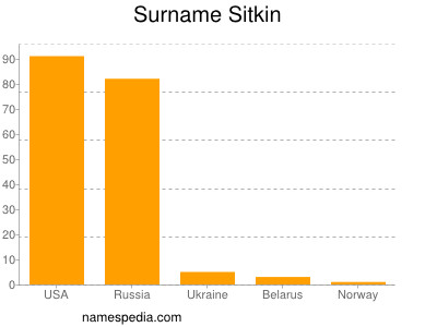 Surname Sitkin