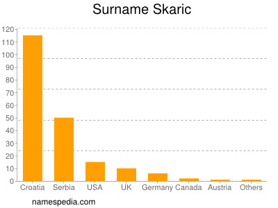 Surname Skaric