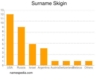 Surname Skigin