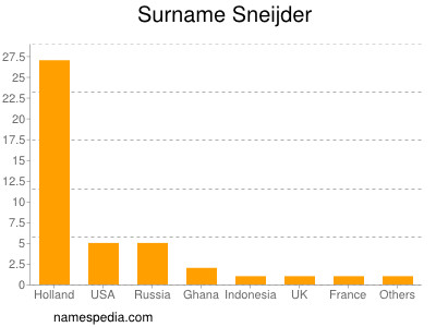 Surname Sneijder