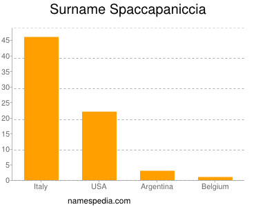 Surname Spaccapaniccia