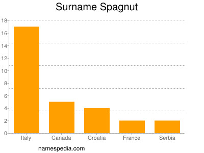 Surname Spagnut