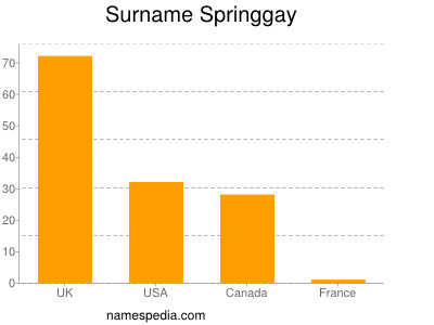 Surname Springgay