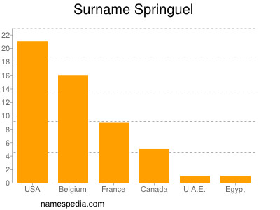 Surname Springuel