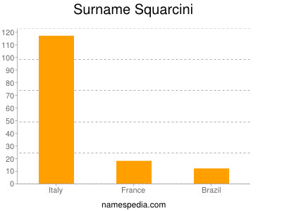 Surname Squarcini
