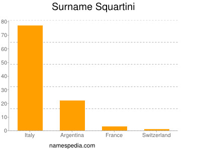Surname Squartini