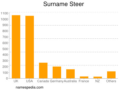 Surname Steer