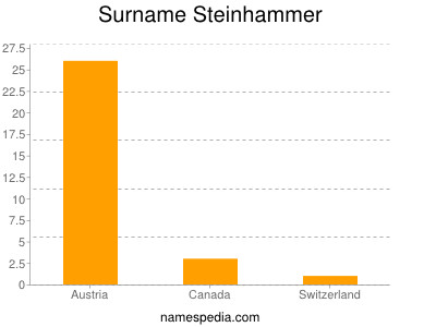 Surname Steinhammer