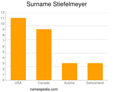Surname Stiefelmeyer