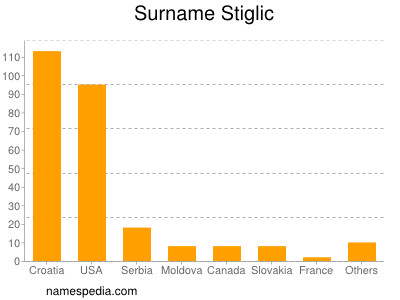 Surname Stiglic