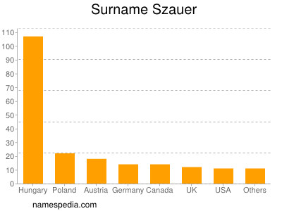 Familiennamen Szauer