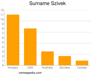 Surname Szivek