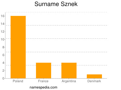Surname Sznek