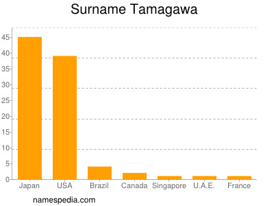 Surname Tamagawa
