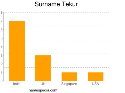 Surname Tekur