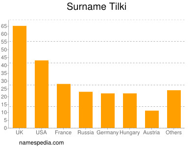 Surname Tilki