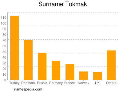 Surname Tokmak