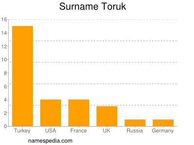 Surname Toruk