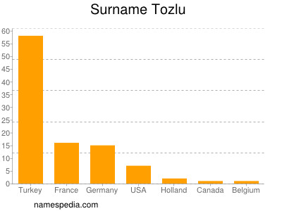 Surname Tozlu