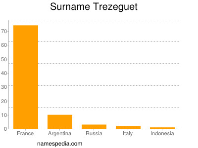 Surname Trezeguet