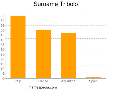 Surname Tribolo